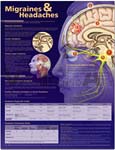 Migraines and Headaches Anatomical Chart